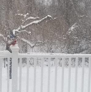 Meet your Posher, Eman